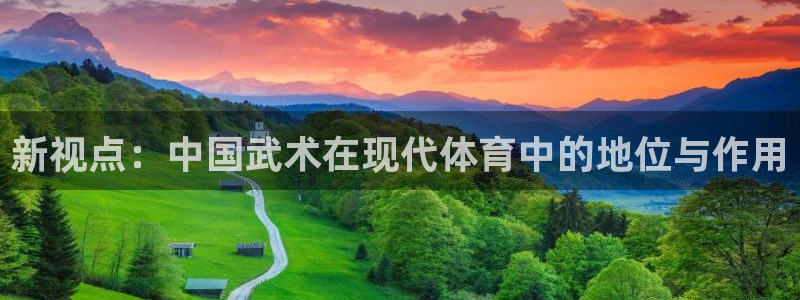新视点：中国武术在现代体育中的地位与作用