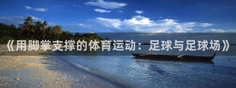 《用脚掌支撑的体育运动：足球与足球场》