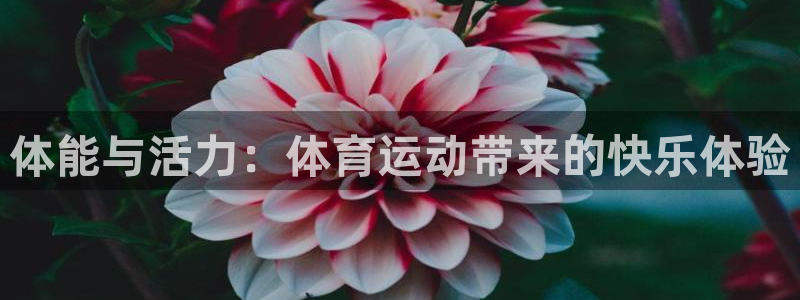 体能与活力：体育运动带来的快乐体验