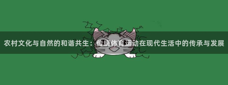 农村文化与自然的和谐共生：传统体育运动在现代生活中的传承与发展