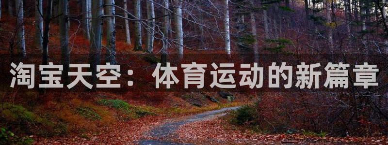 淘宝天空：体育运动的新篇章