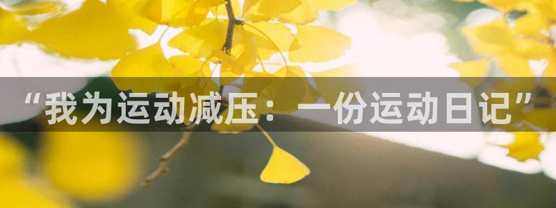 “我为运动减压：一份运动日记”