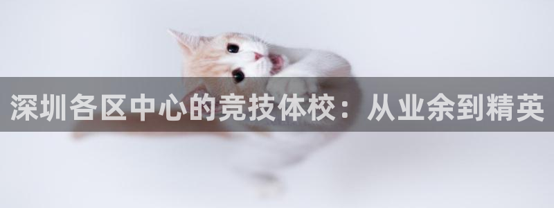 深圳各区中心的竞技体校：从业余到精英