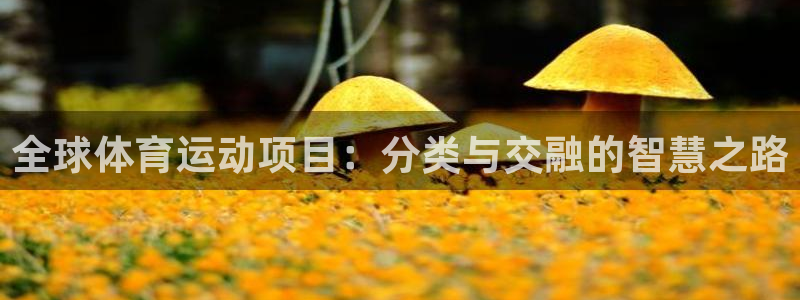 全球体育运动项目：分类与交融的智慧之路