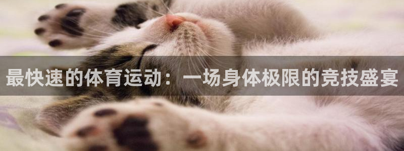 最快速的体育运动：一场身体极限的竞技盛宴