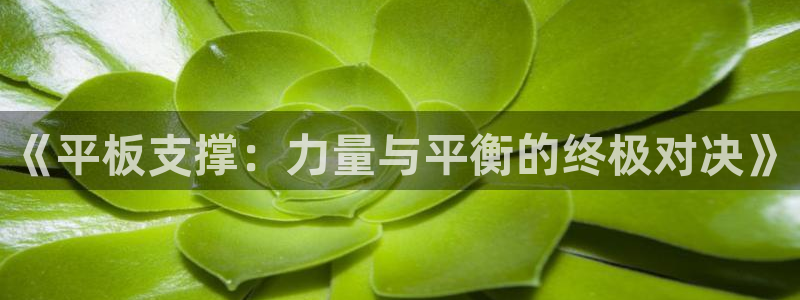 《平板支撑：力量与平衡的终极对决》